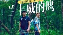 竞技宝如何