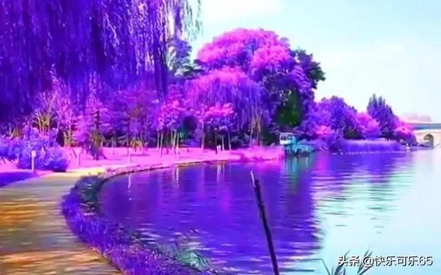 深度学习知识星球平台-张天爱Twins《浪姐》下班路透,酷飒穿搭,是不是养眼呢?专家分享的最佳资源!